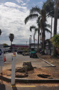 Auckland Tree Care by Russ - McDonalds project underway