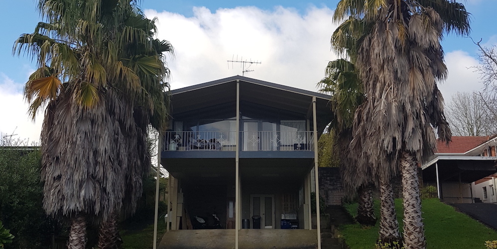 phoenix palms to remove - Auckland Tree Care by Russ